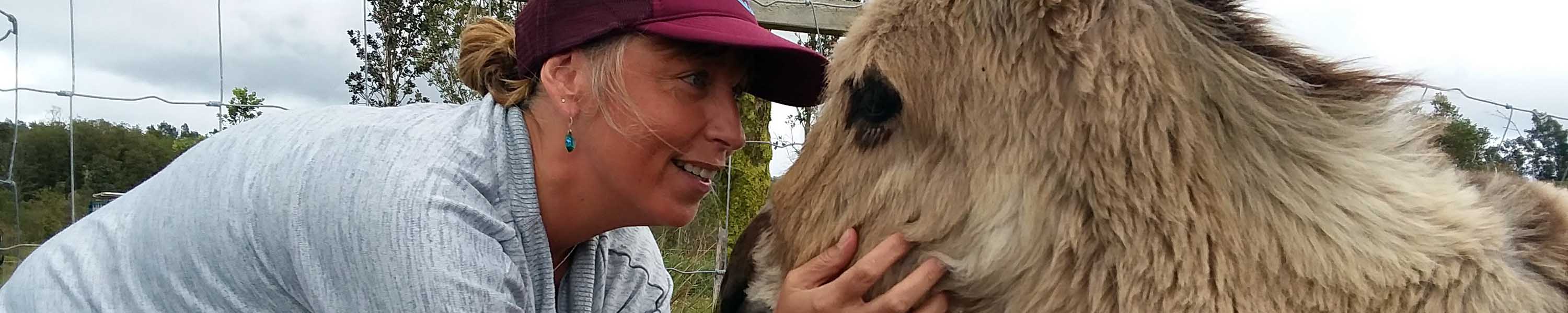 Sonja getting cuddled by a volunteer