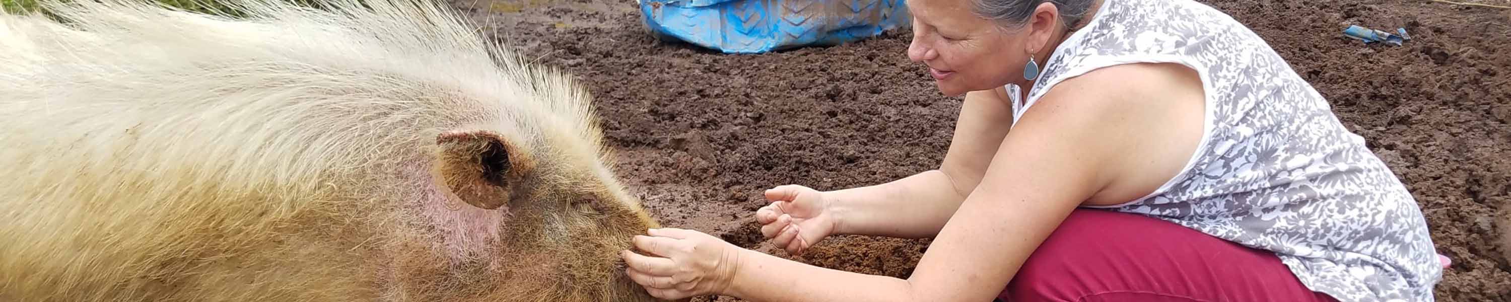 Squiggy getting cuddles from Brenna