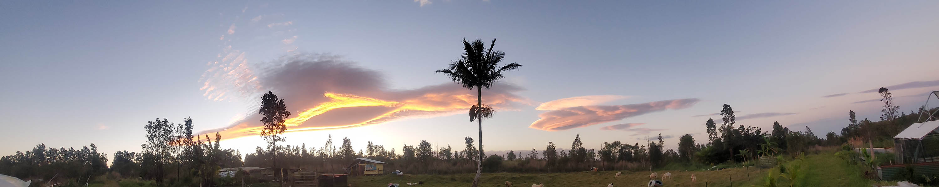 Sunset over FPG Plant & Animal Sanctuary