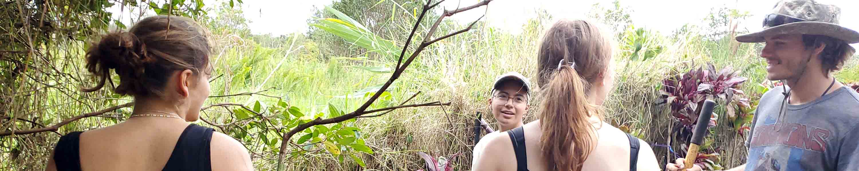 Volunteers discussing landscape design