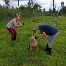 Visitors enjoying some goat love