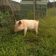 Squiggy checking out his new digs